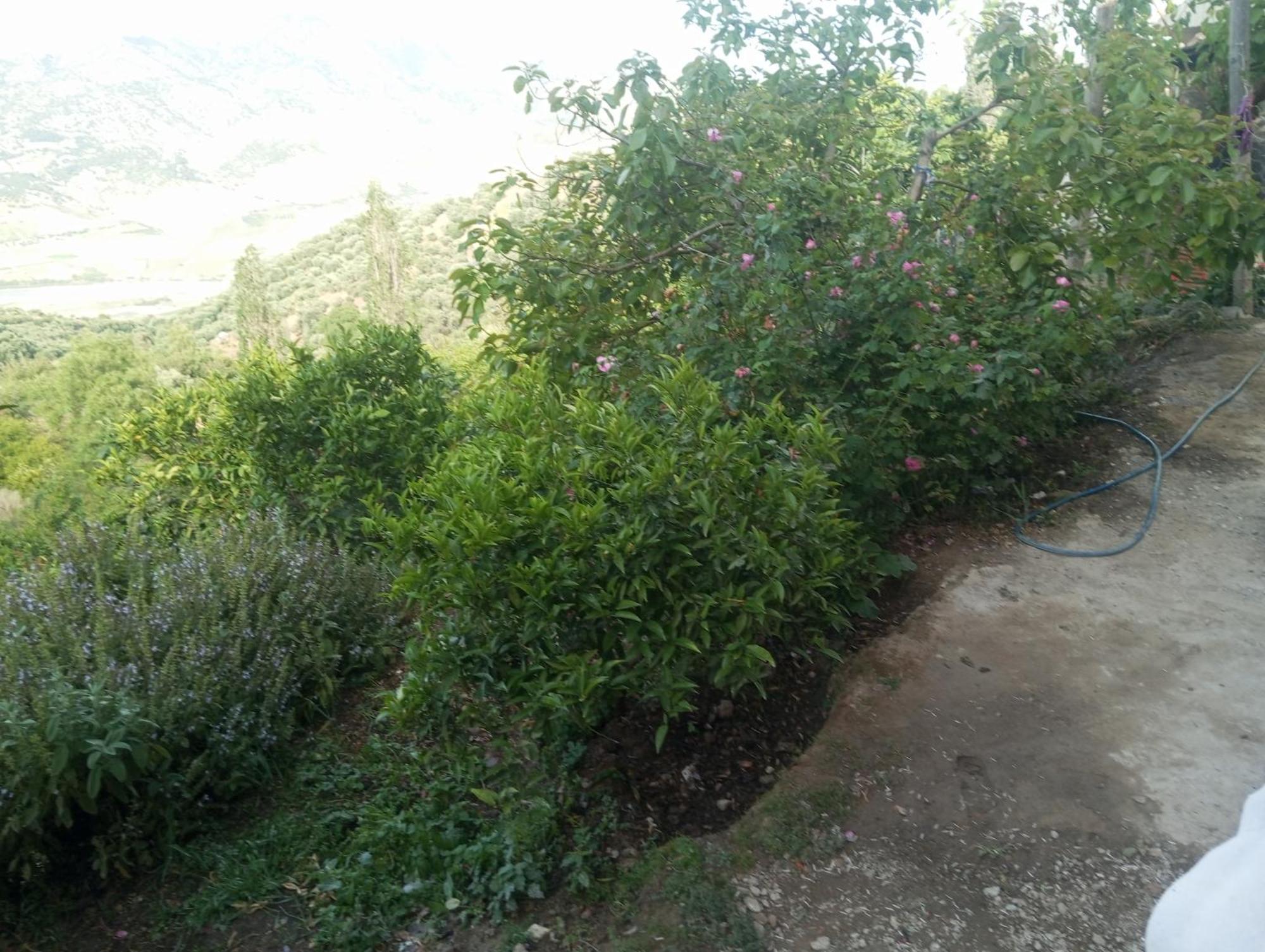 Dar Lala Zhour Apartamento Douar Ain Bouchrik Exterior foto
